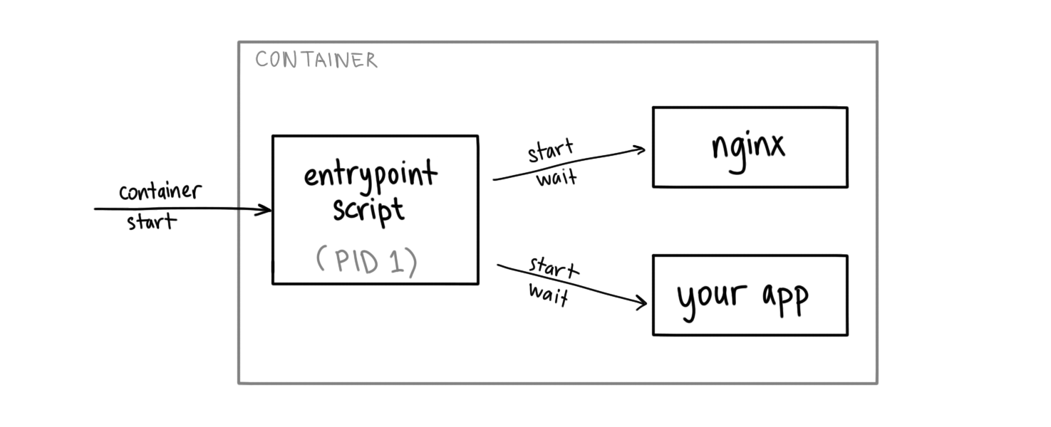 diagram showing container with a script as the entrypoint starting nginx and
user application